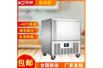 广东速冻柜 低温商用急冻柜 包子速冻冰箱-佰鲜冷柜